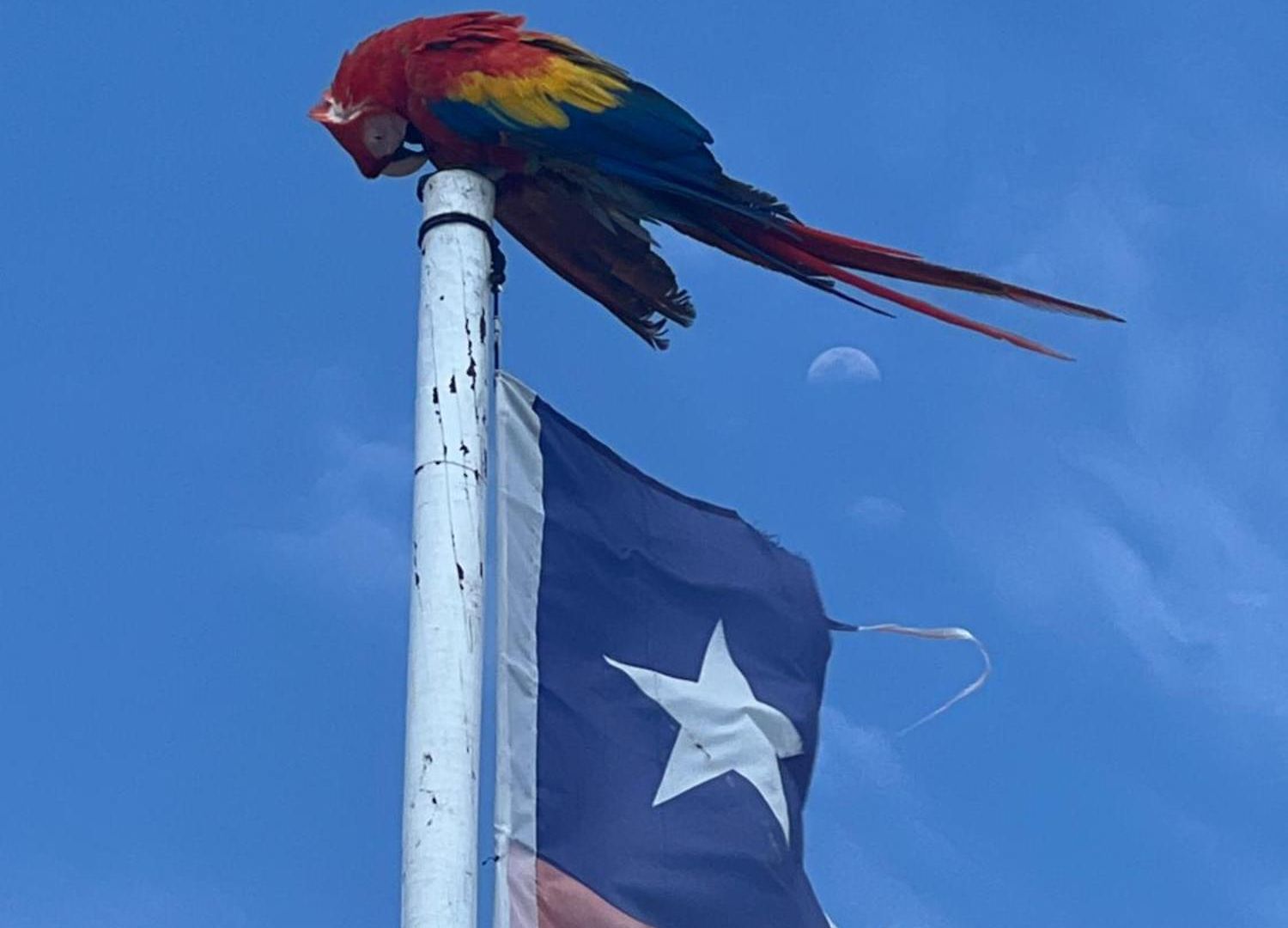 Aparta Fantastique Cartagena