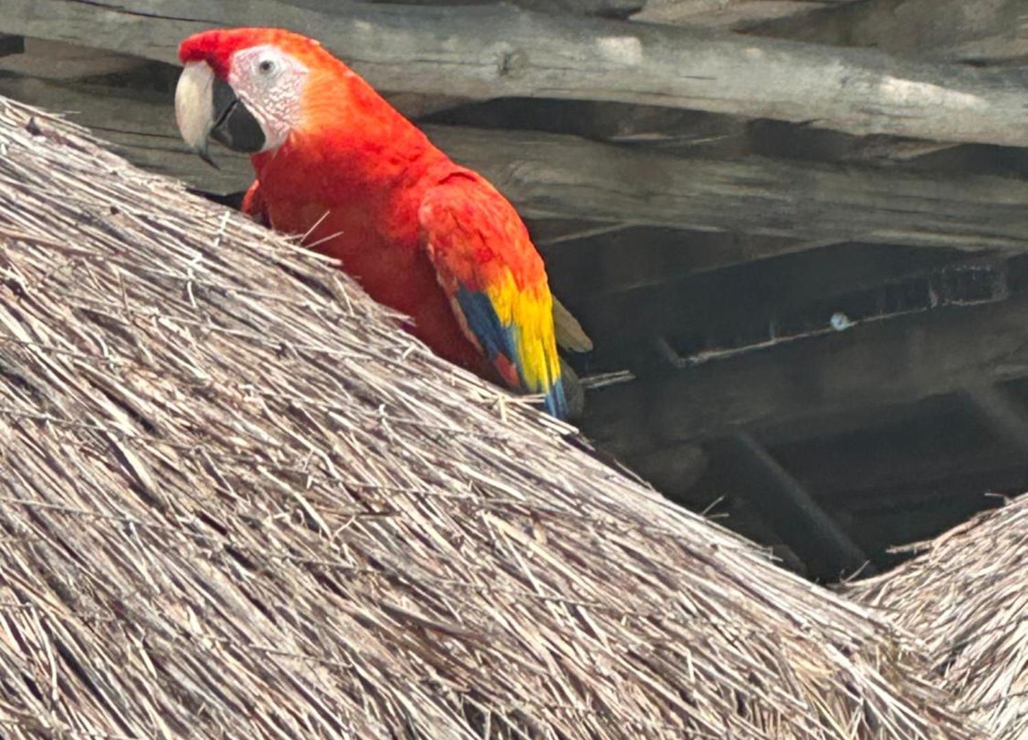 Aparta Fantastique Cartagena