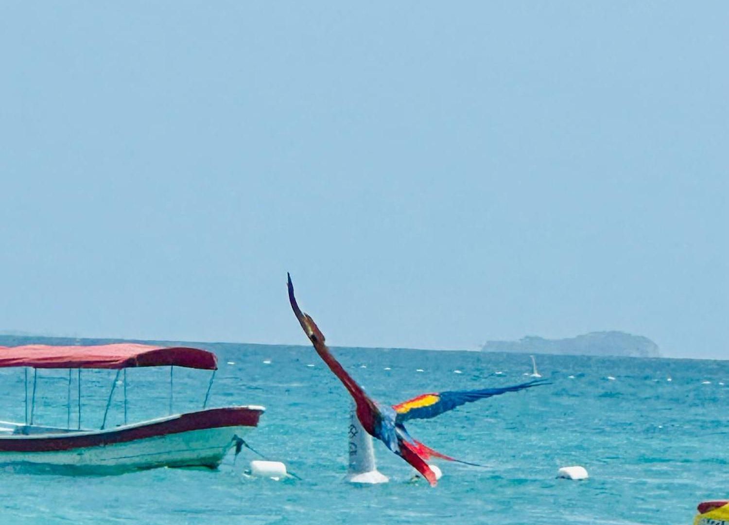 Aparta Fantastique Cartagena