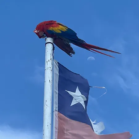 Aparta Fantástique Cartagena