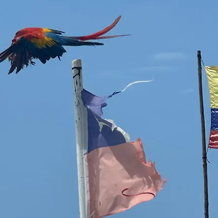Aparta Fantástique Apartamento Cartagena
