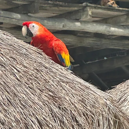Aparta Fantástique Cartagena