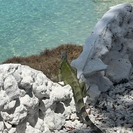 Aparta Fantástique Cartagena