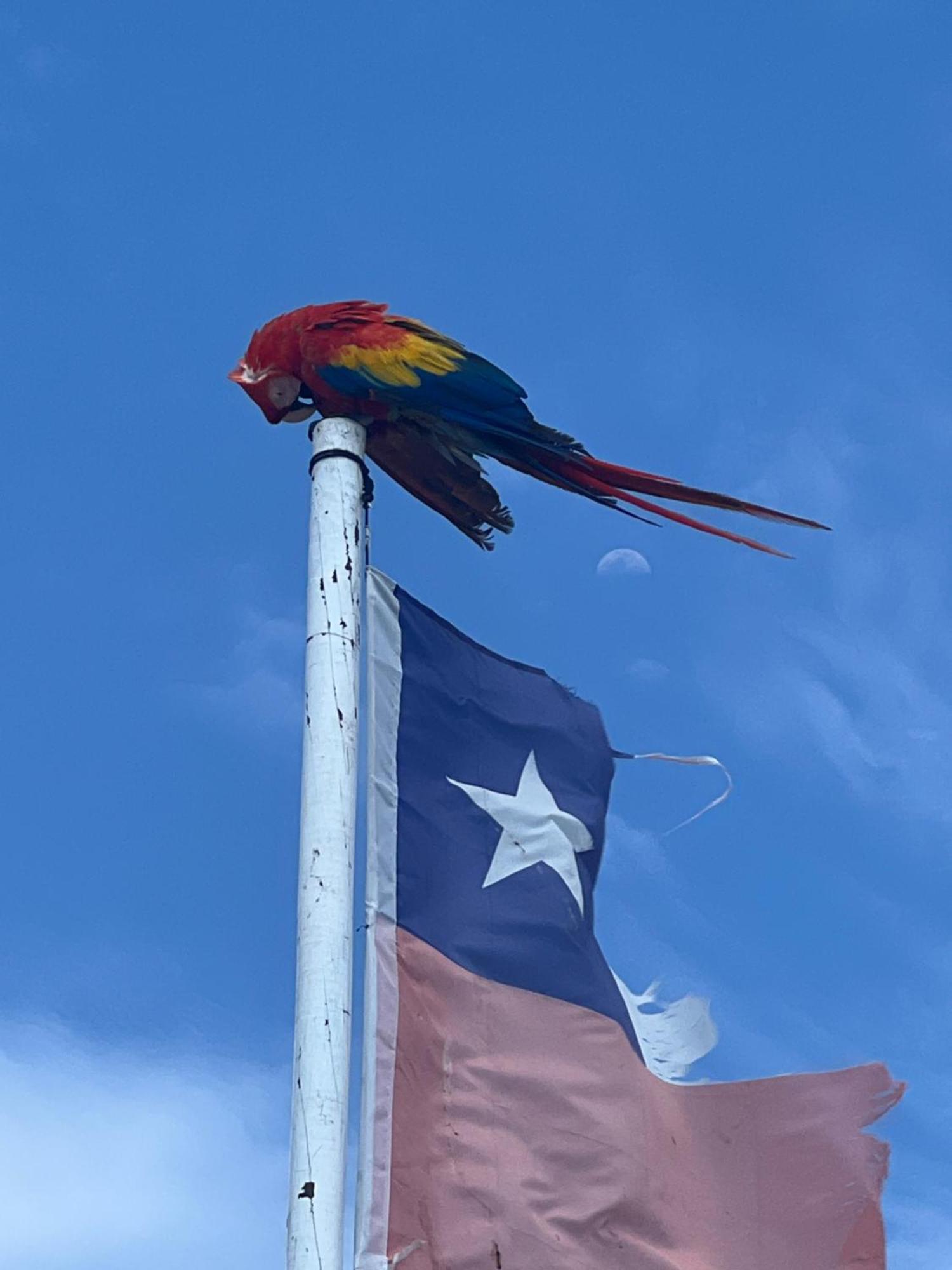 Aparta Fantástique Cartagena