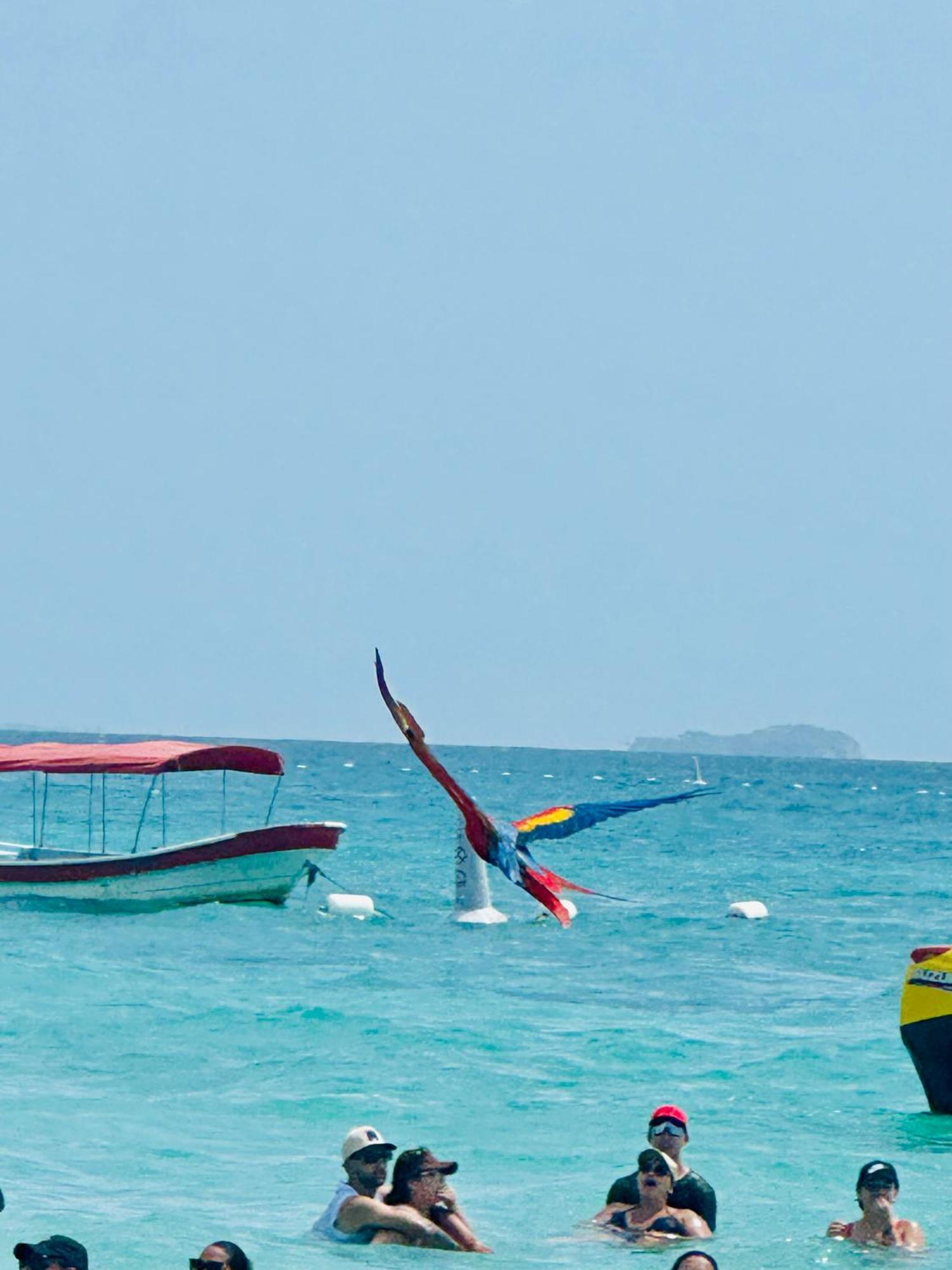 Aparta Fantástique Cartagena